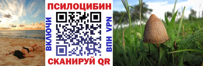 Галлюциногенные грибы мицелий  Красновишерск 